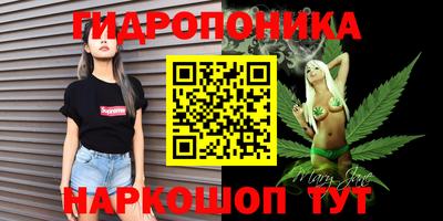 mdpv Лесосибирск