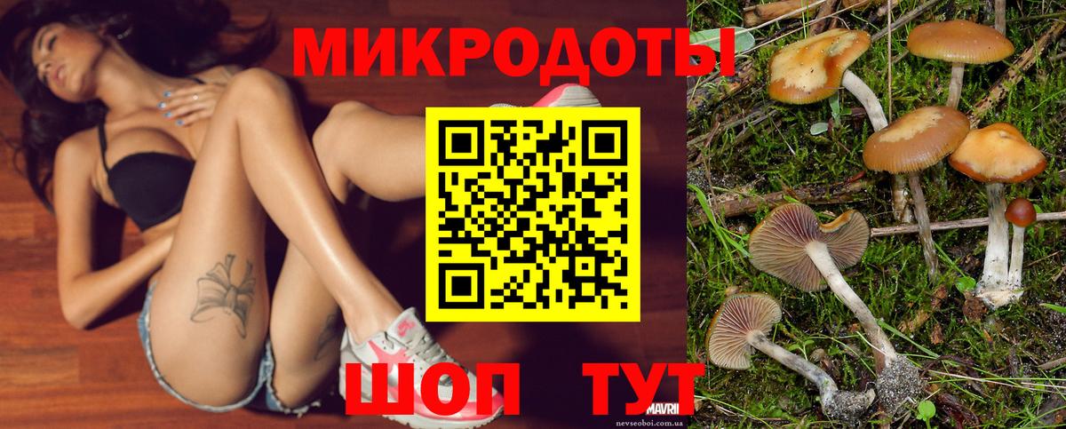 Галлюциногенные грибы Psilocybine cubensis Волгоград