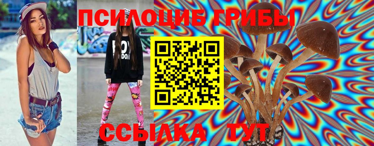 Волгоград  Псилоцибиновые грибы мицелий  Вход с VPN  Псилоцибиновые грибы Cubensis 