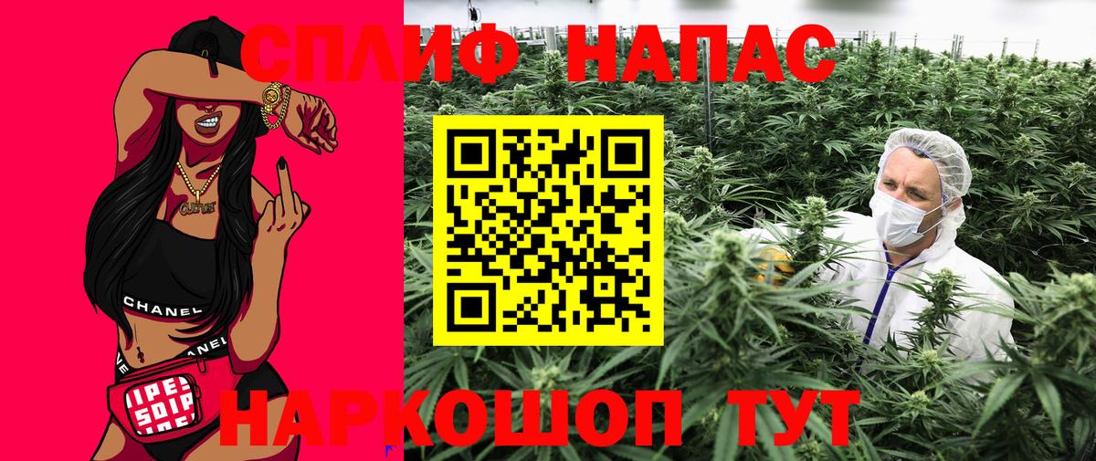 Марихуана Amnesia Волгоград